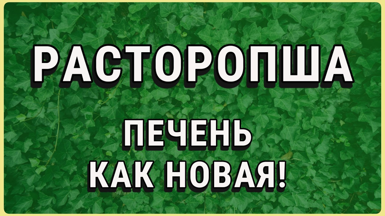 Шрот, капсулы, масло: что на самом деле нужно печени в 60 лет?