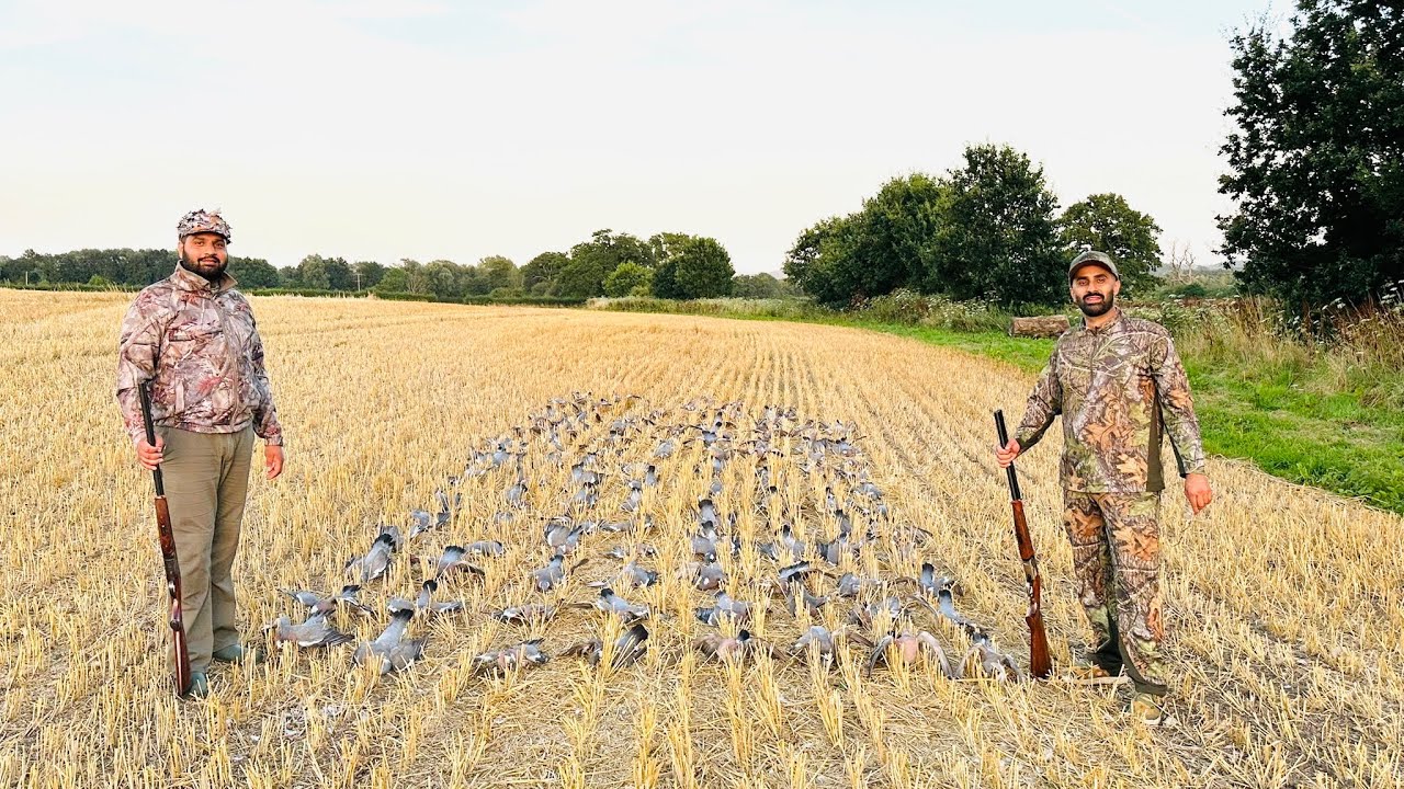 Pigeon shooting 04/08/2024