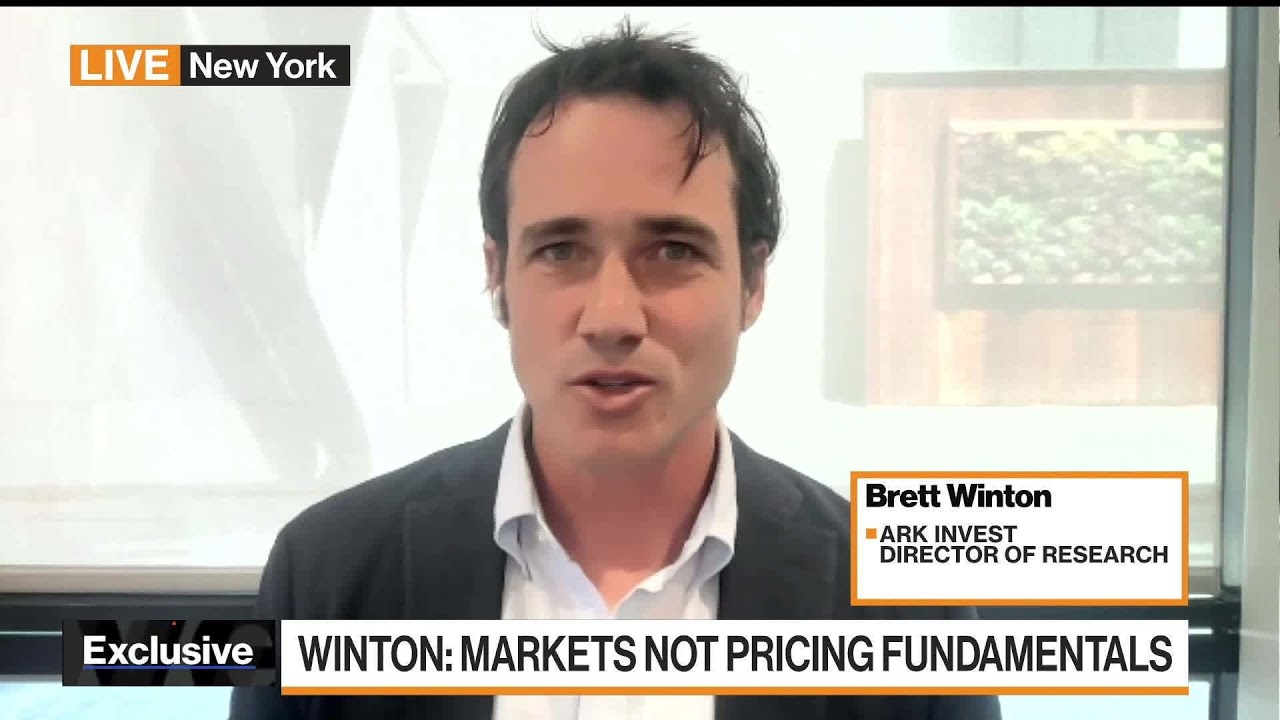 Ark Invest's Winton on Valuations, Tesla and Coinbase