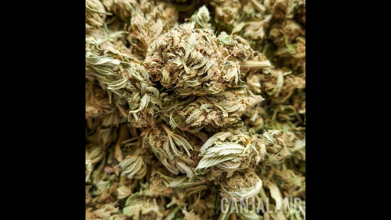 Check out our Organic CBD Flowers.