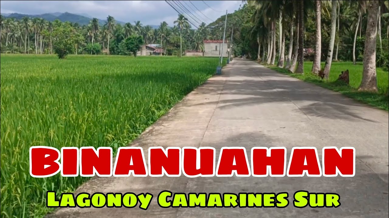 Binanuahan Lagonoy Camarines Sur