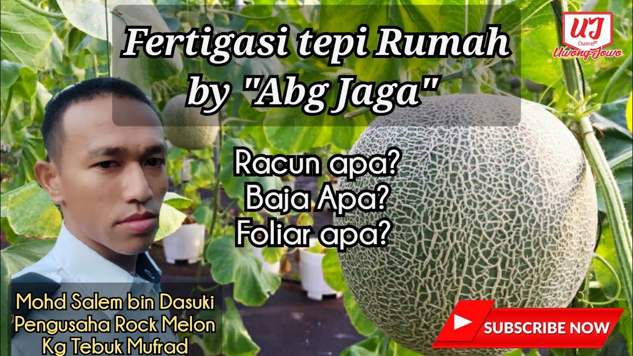 Abang 