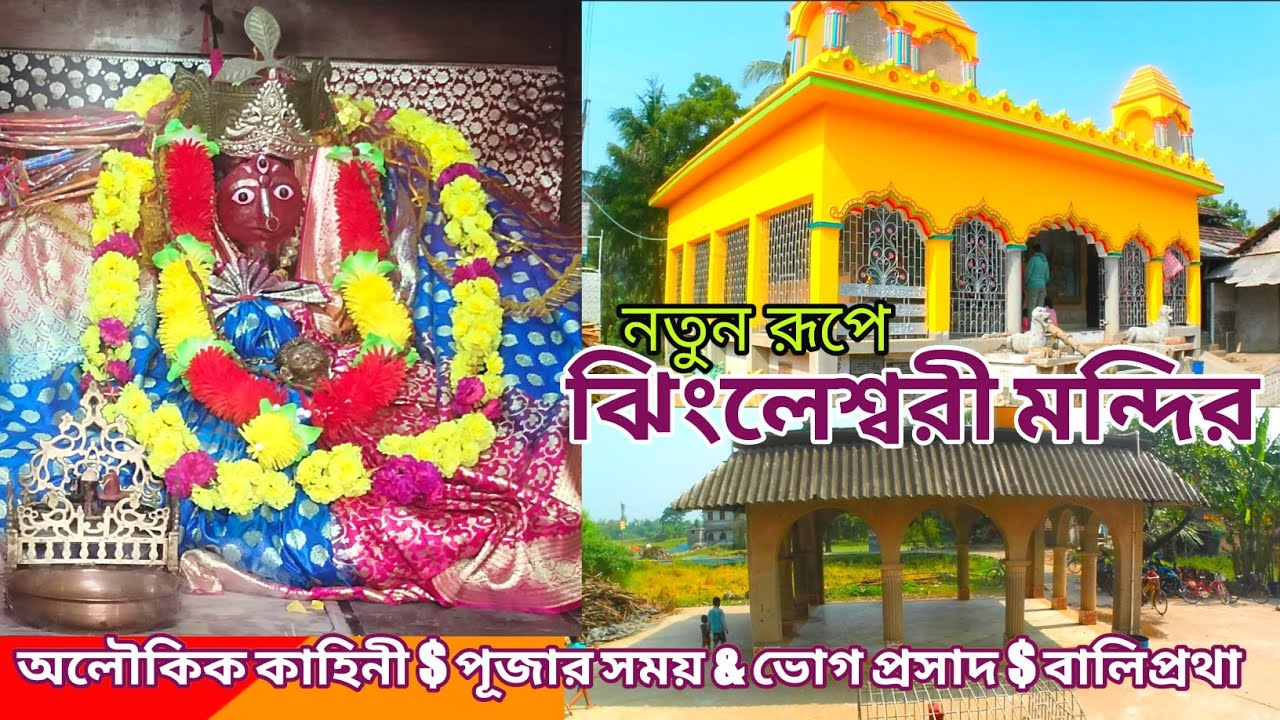 ঝিংলেশ্বরী মন্দির নতুন রূপে | Jhingleswari Temple | অলৌকিক কাহিনী, পূজার সময়,ভোগপ্রসাদ, বলিপ্রথা |