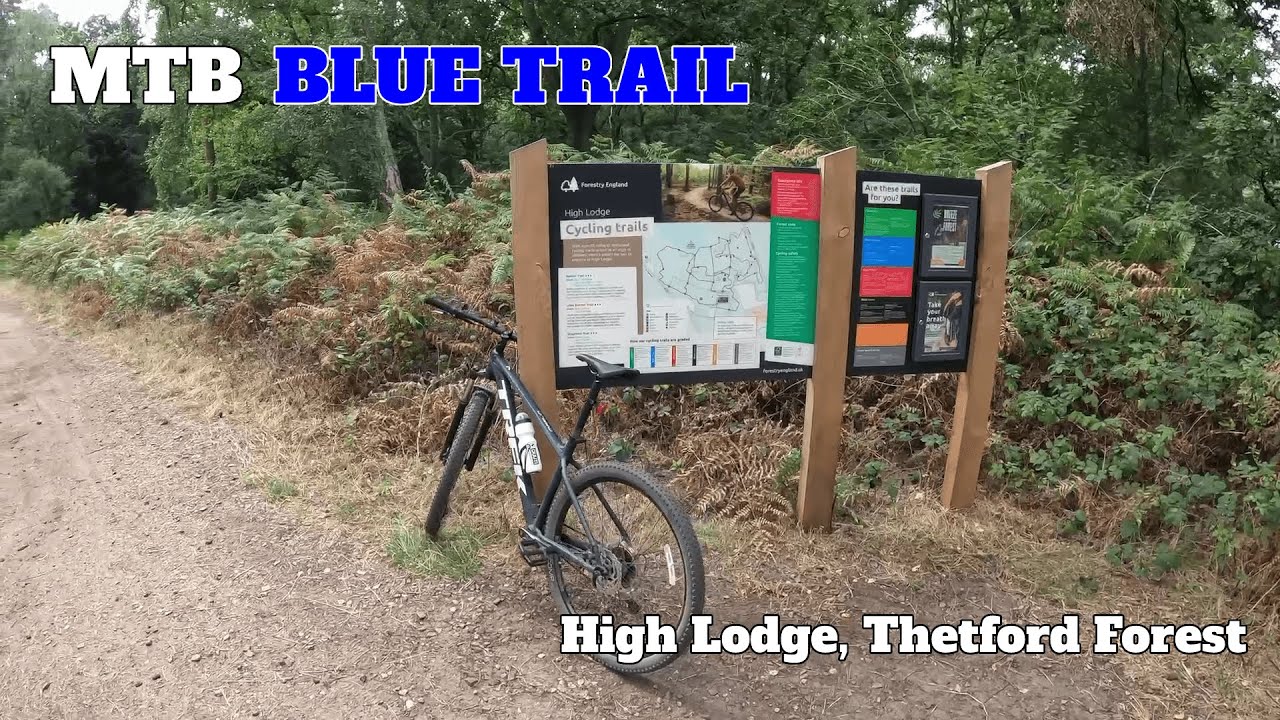 Blue Trail Mountain Biking at High Lodge, Thetford Forest