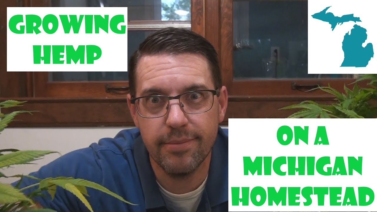 Growing Hemp on a Michigan Homestead