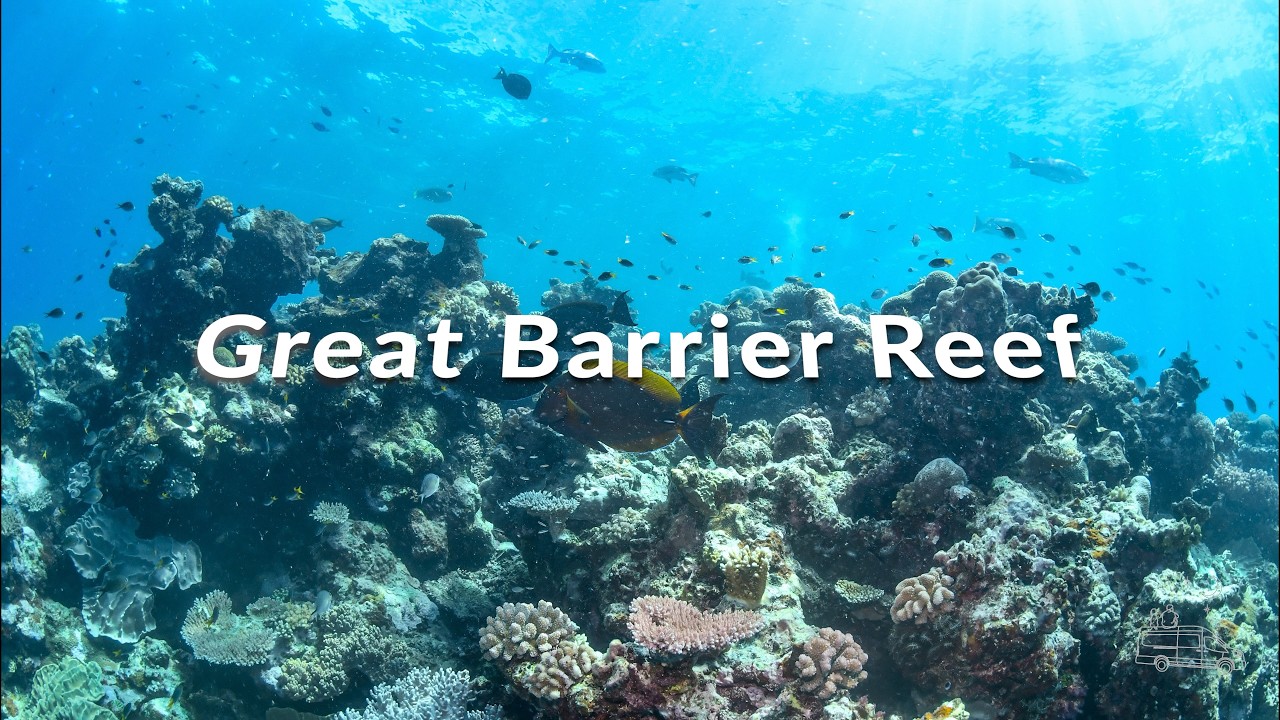 Great Barrier Reef - Scuba + Scenic Flight