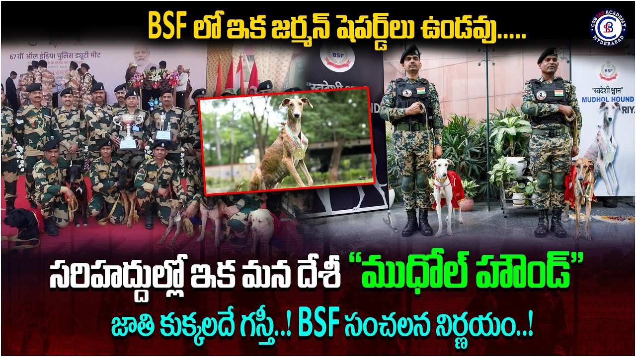 BSFలో ఇక జర్మన్ షెపర్డ్‌లు ఉండవు.....సరిహద్దుల్లో ఇక మన దేశీ 