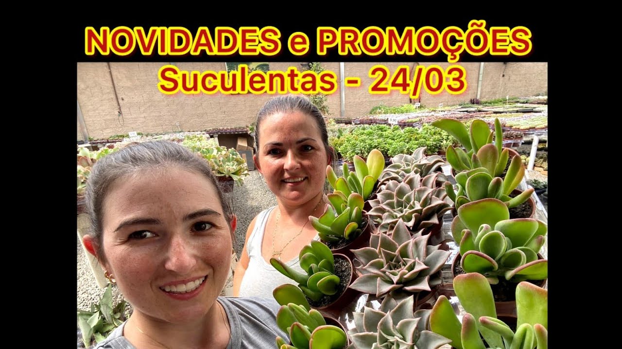 NOVIDADES e PROMOÇÕES - Suculentas - 24/03