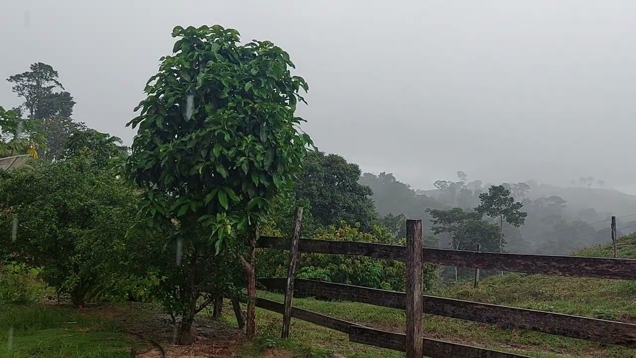 SÓ CHUVA, EM RONDÔNIA  BENÇÃO DE DEUS. 