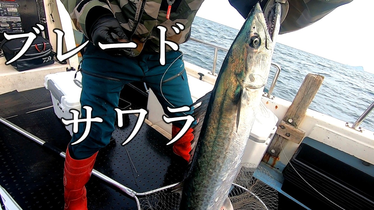 舞鶴沖のサワラゲームが熱い！ブレードジギングで狙う冬の終わりの絶品魚