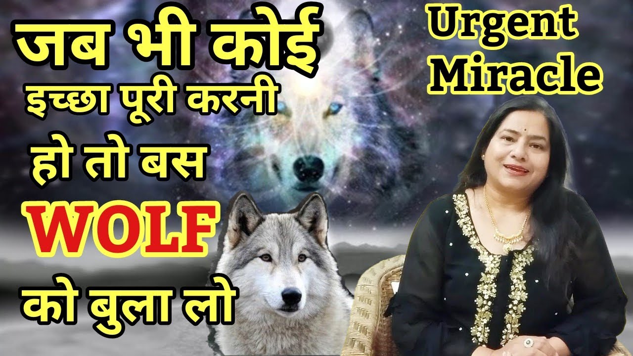 इच्छा पूरी करनी हो तो बस बुला लो WOLF | Wolf Magic Begin Now powerful Switchword#wolf#reiki