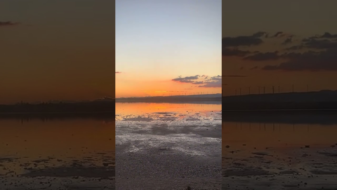 Most Beautiful Part Of Larnaca, Cyprus 🦩 | Steff Hanson #shorts