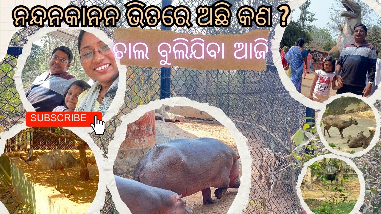 ଚାଲ ବୁଲିଯିବା ଆଜି ନନ୍ଦନକାନନ ଆଉ ଦେଖିବା ଭିତରେ କଣ ଅଛି ? || Nandankanan Special Vlog || Odisha Tourism.