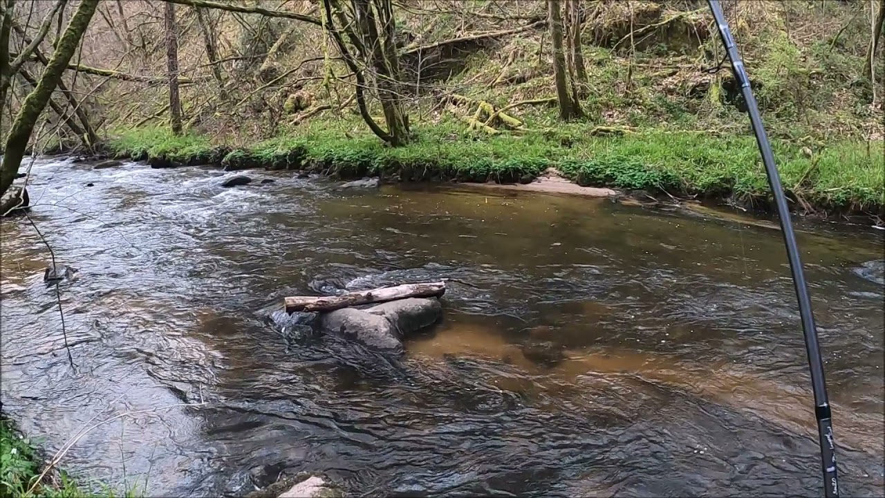 truite au toc petite rivière corrézienne
