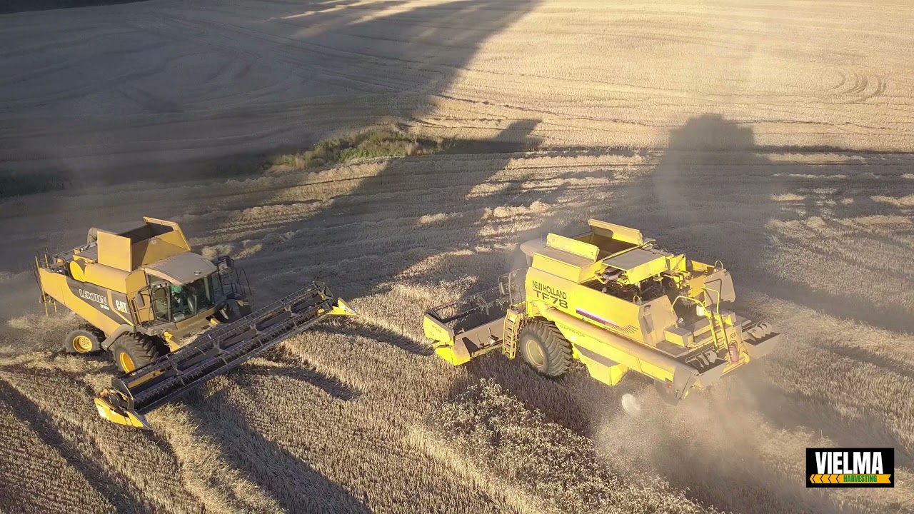 TEMPORADA 2021 cosecha trigo chile CAT LEXION570R.  NEW HOLLAND TF78.   CLAAS LEXION 600TT