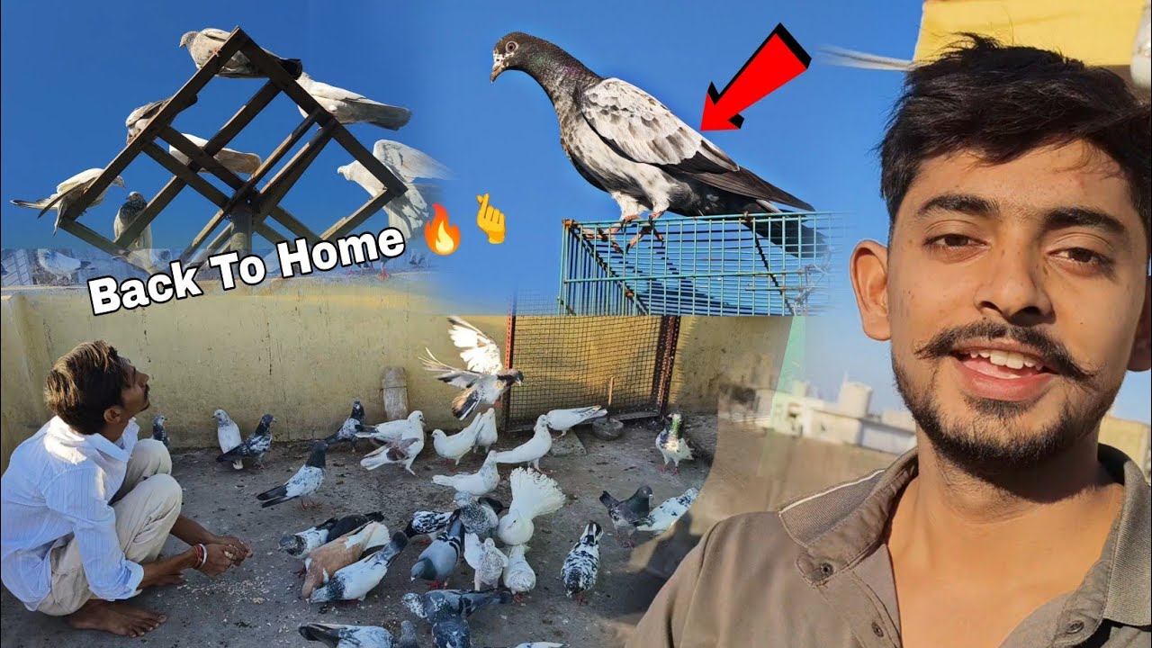 Baby 🕊️ !! Patha Wapss Aagya 💪