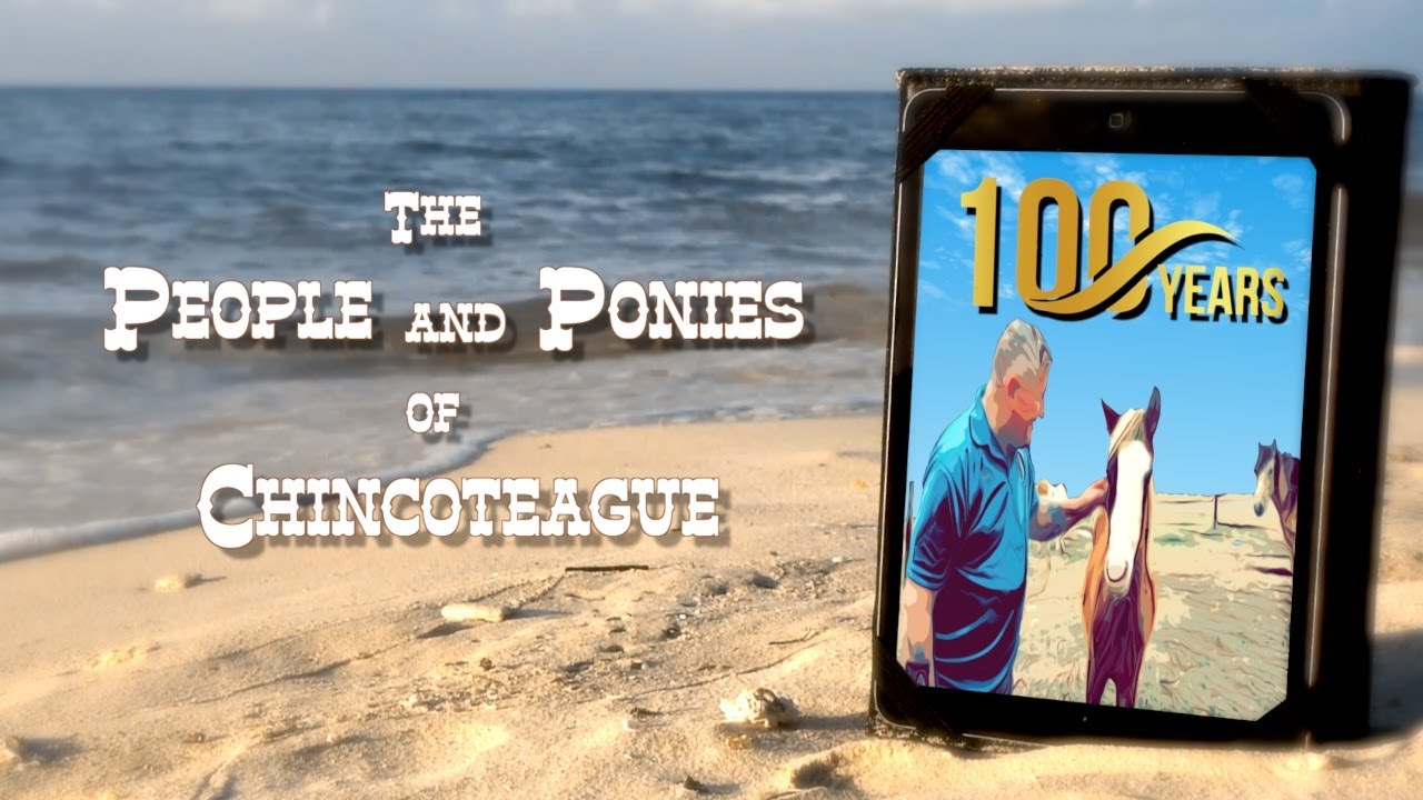 The People and Ponies of Chincoteague