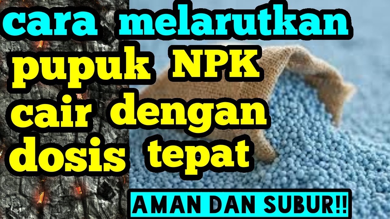 Cara melarutkan pupuk NPK dengan dosis yang tepat