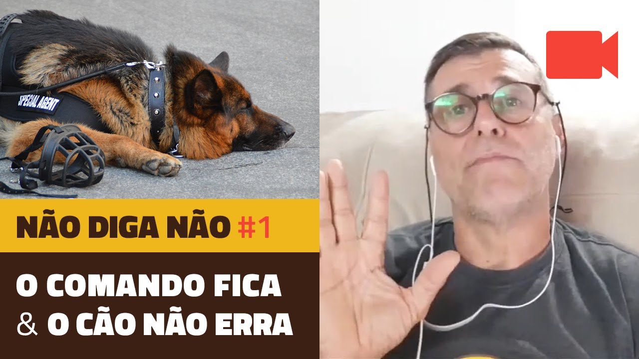 Não diga Não #1 - O Comando Fica, O Cão Não Erra.