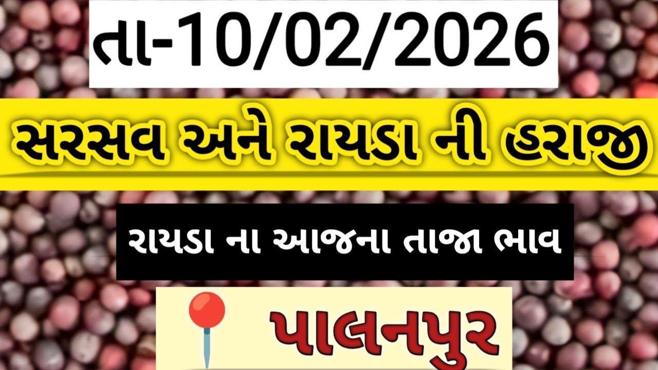 સરસવ અને રાયડા ની હરાજી//palanpur sarsav and raida ni haraji//अनाज मंडी #palanpur #mahesana #new 