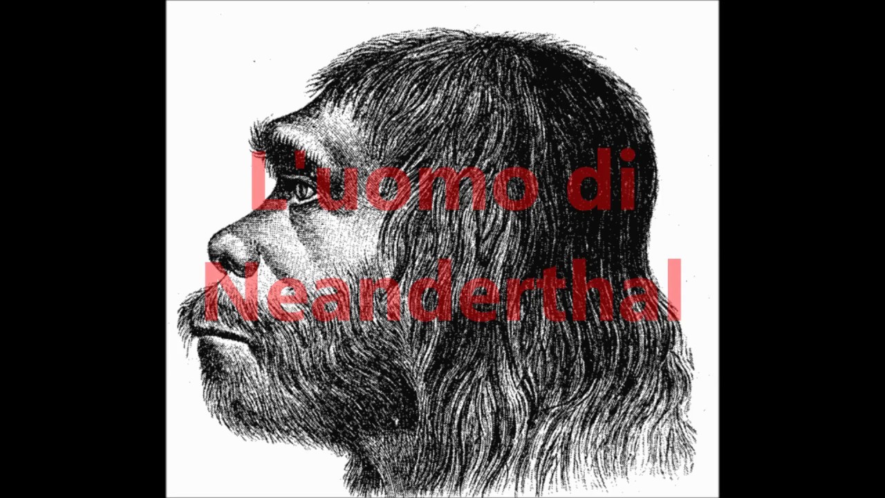 L'UOMO DI NEANDERTHAL - Le interviste impossibili