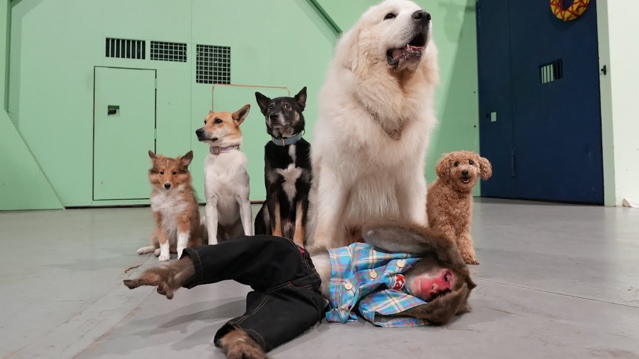 もう「犬と仲良しです」とは言えなくなりました…