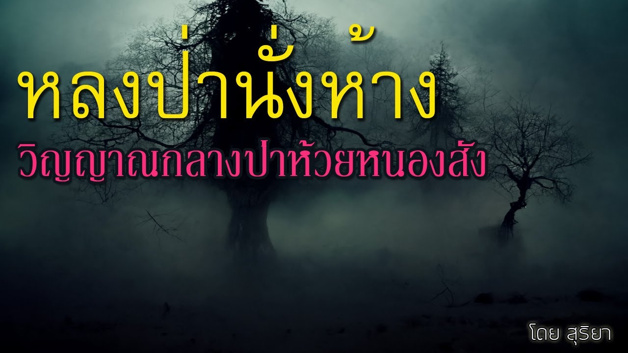 เรื่องลี้ลับ EP48 หลงป่านั่งห้าง วิญญาณกลางป่าที่ห้วยหนองสัง (เรื่องเล่าจากดงใหญ่)