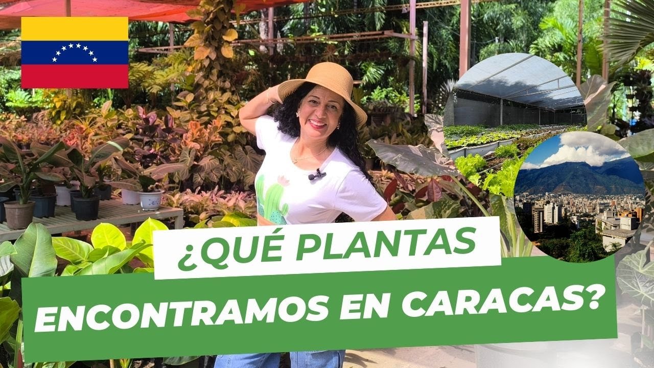 🌿 &iquest;Viveros en Caracas?🌱 &iexcl;Visitamos GARDEN CENTER! 🇻🇪 🌻🌵