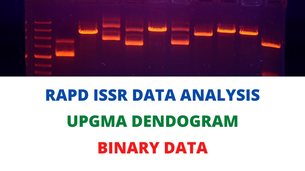 Dendogram Preparation from Binary data of RAPD and ISSR molecular markers using NTSYS-pc