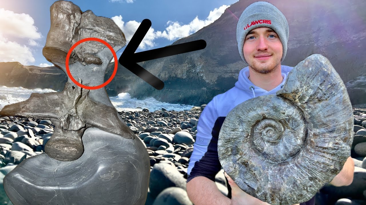 2 Day Fossil Hunt, HUGE ‘Snail’ + Crocodile BONES 🐊! | Fossil Hunter