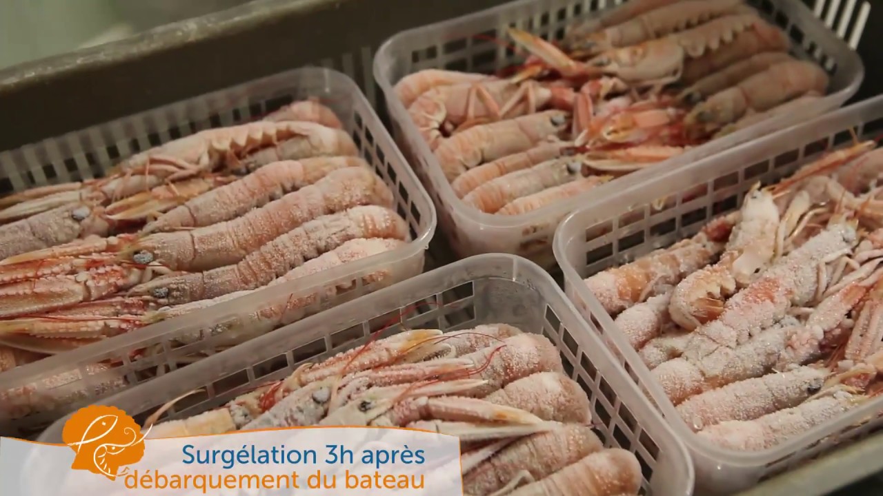 Produits surgelés, produits fumés - Tradition et modernité