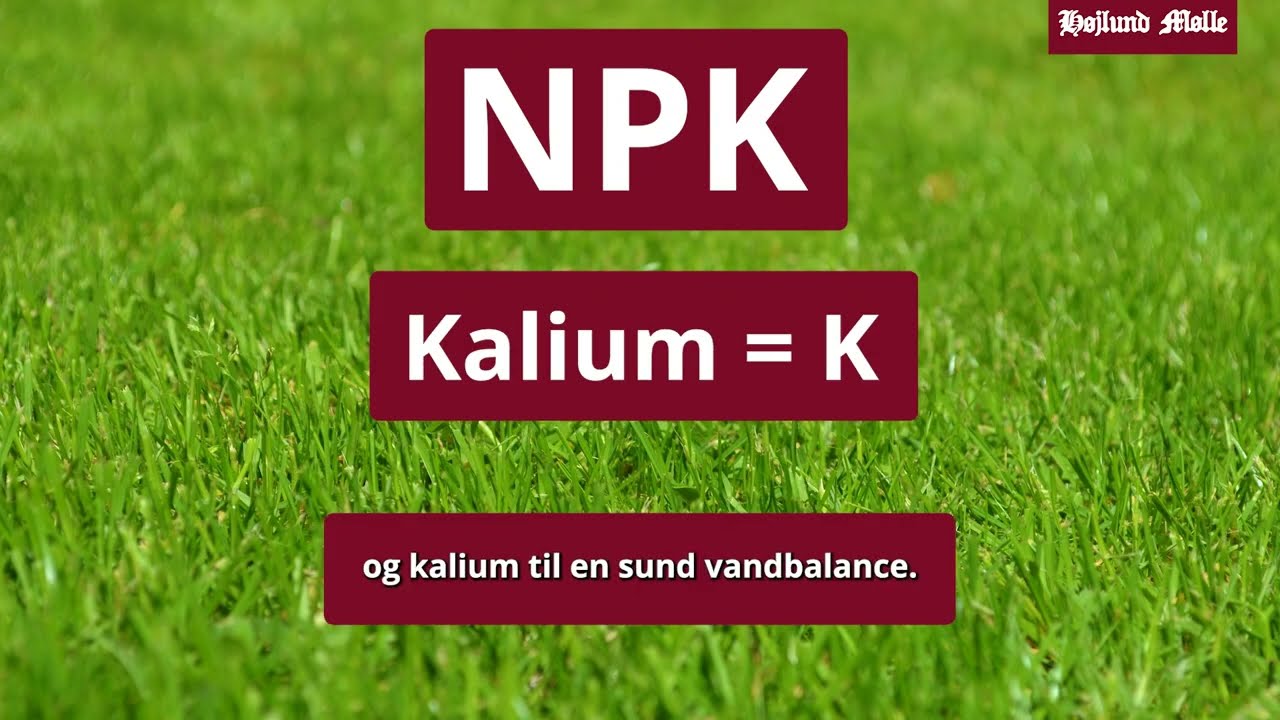 S&aring;dan Plejer du din Gr&aelig;spl&aelig;ne &ndash; Gode R&aring;d fra H&oslash;jlund M&oslash;lle