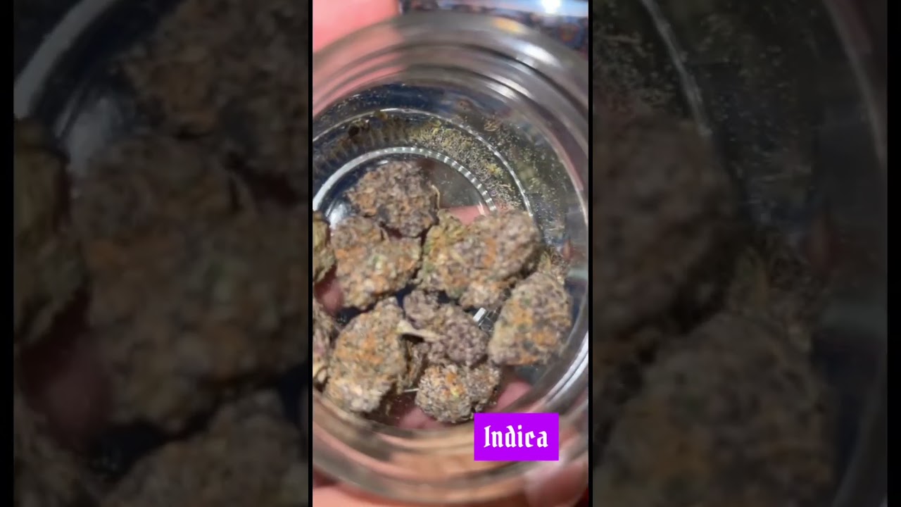 Indica or sativa🤔.                           &hellip;&hellip;..Like and subscribe