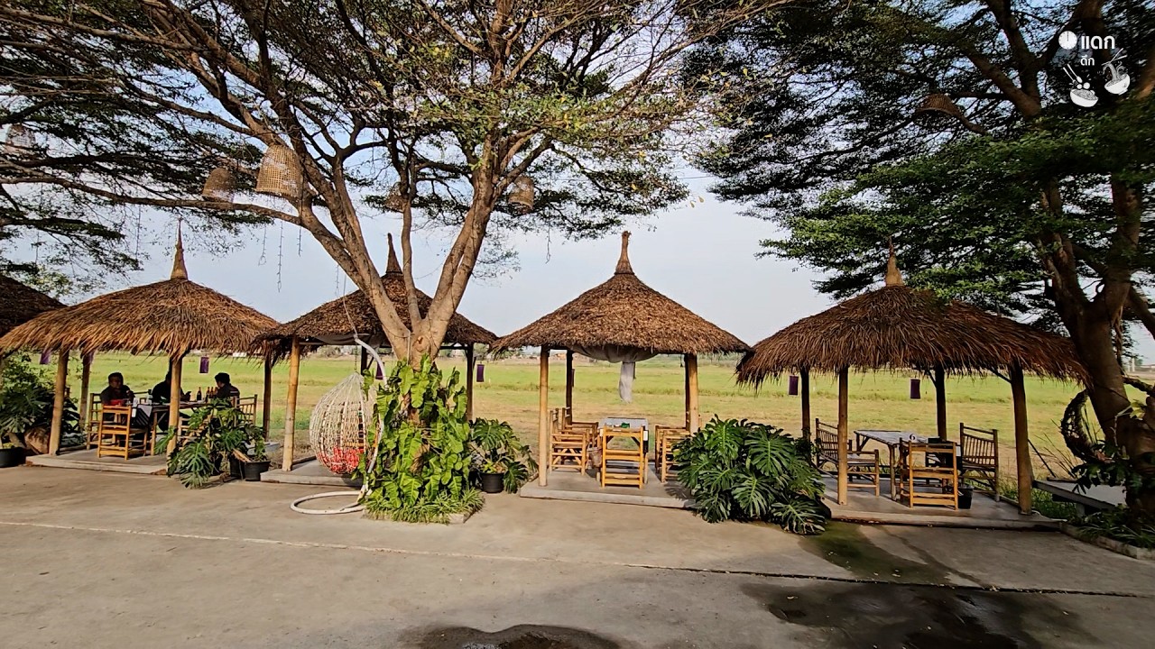 สวนอาหารชายทุ่ง ปลาแม่น้ำ อาหารป่า ร้านลับบรรยากาศดีชานเมืองอยุธยา