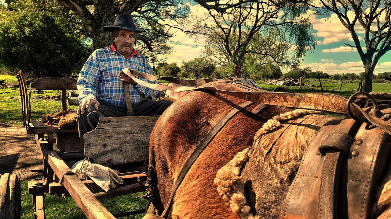 Dos GAUCHOS reales SOLOS y ESCONDIDOS en el MONTE | Viven a la ANTIGUA y hacen sus mandados en SULKI