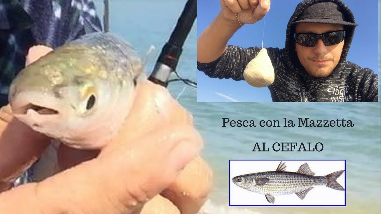 Pesca Con la MAZZETTA Per Cefalo,Con Pastura Baits Atomic Mare Colmic