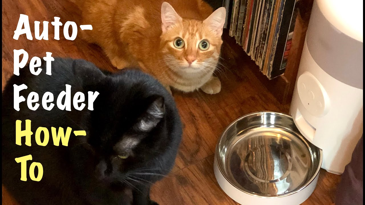 HOW TO SET-UP THE WI-FI ENABLED WOPET PET FEEDER