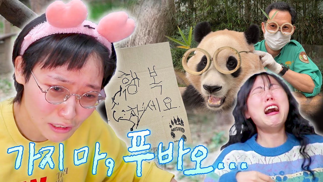 T에게 슬프다는 감정을 가르쳤습니다.