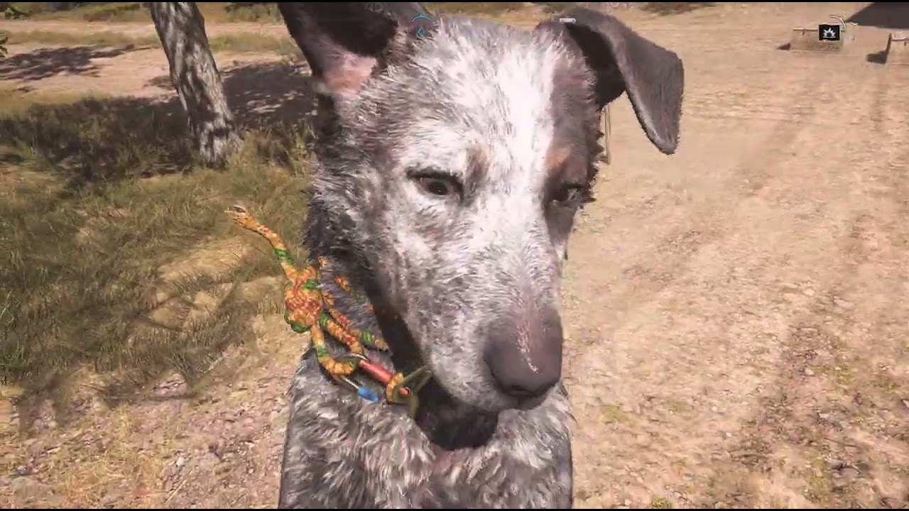 Far Cry 5 part 2