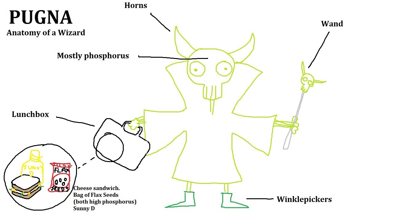 Pyrion Flax's Guide to: Pugna