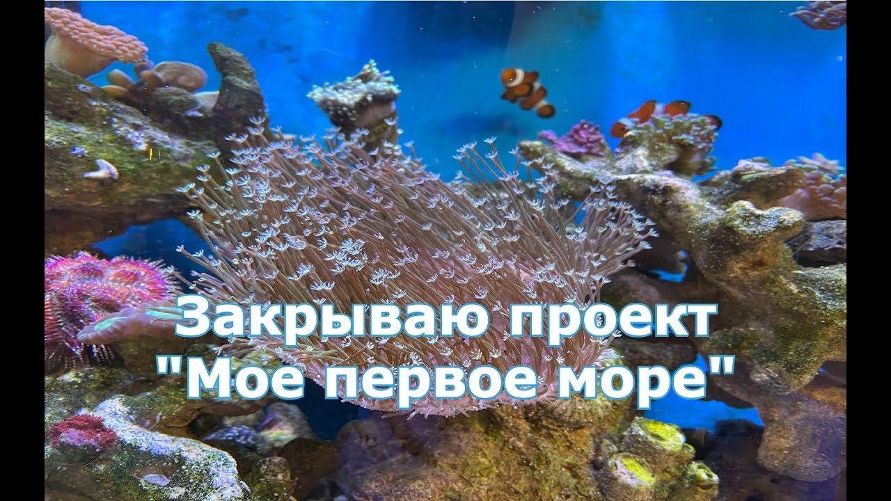 Закрываю проект 