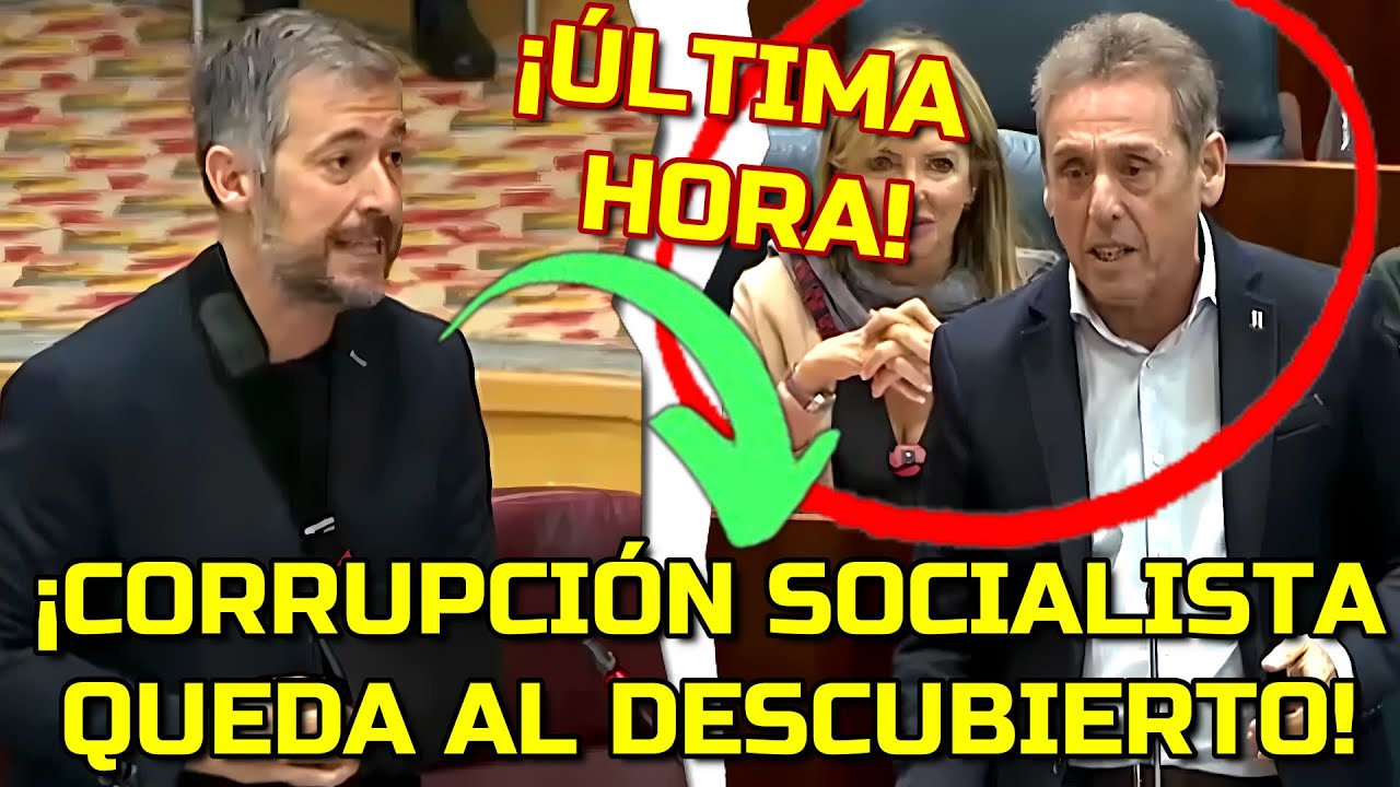 PORTAVOZ de AYUSO HUMILLA al PSOE 🔥 &ldquo;El ritmo al que DELINQUEN es INCRE&Iacute;BLE&rdquo;