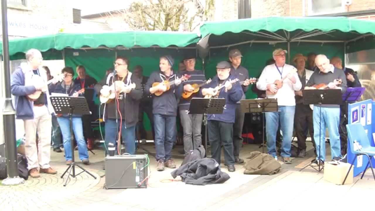 Blueberry hill by Thornbury Ukulele Jam