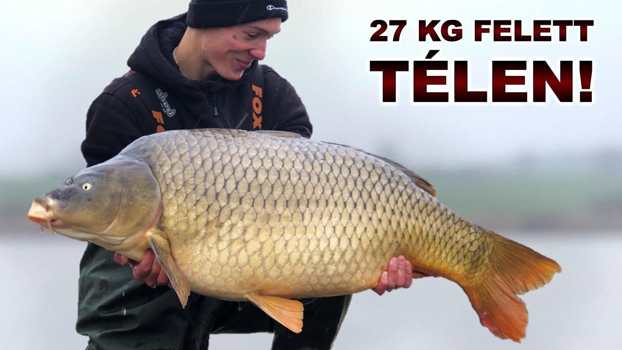 NAGY TAVON, TÉLEN, 27 KG FELETT!🌊❄️🐳 - Legendás pontyok nyomában (4. rész)