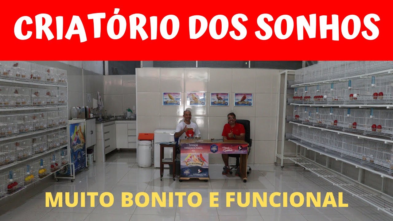 COMO MONTAR UM EXCELENTE CRIATÓRIO DE CANÁRIOS
