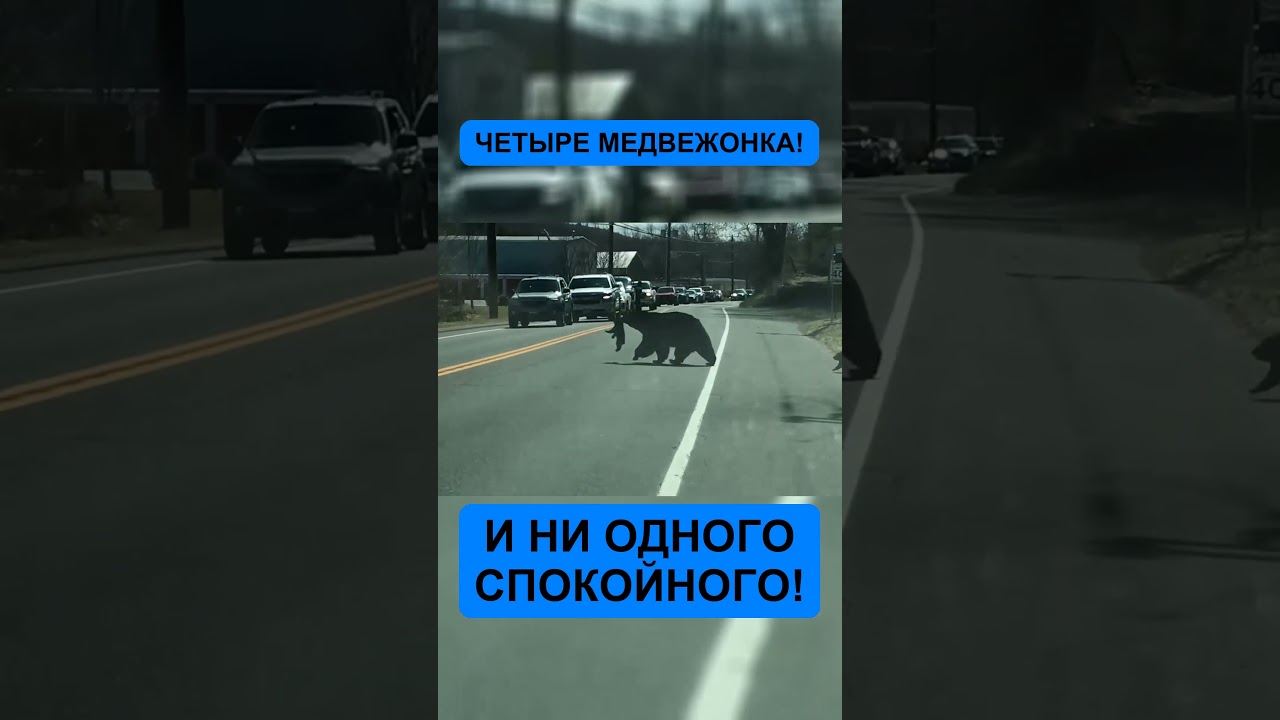 ОНА ОСТАНОВИЛА ЦЕЛУЮ ТРАССУ ИЗ-ЗА ЧЕТЫРЁХ ХУЛИГАНОВ!