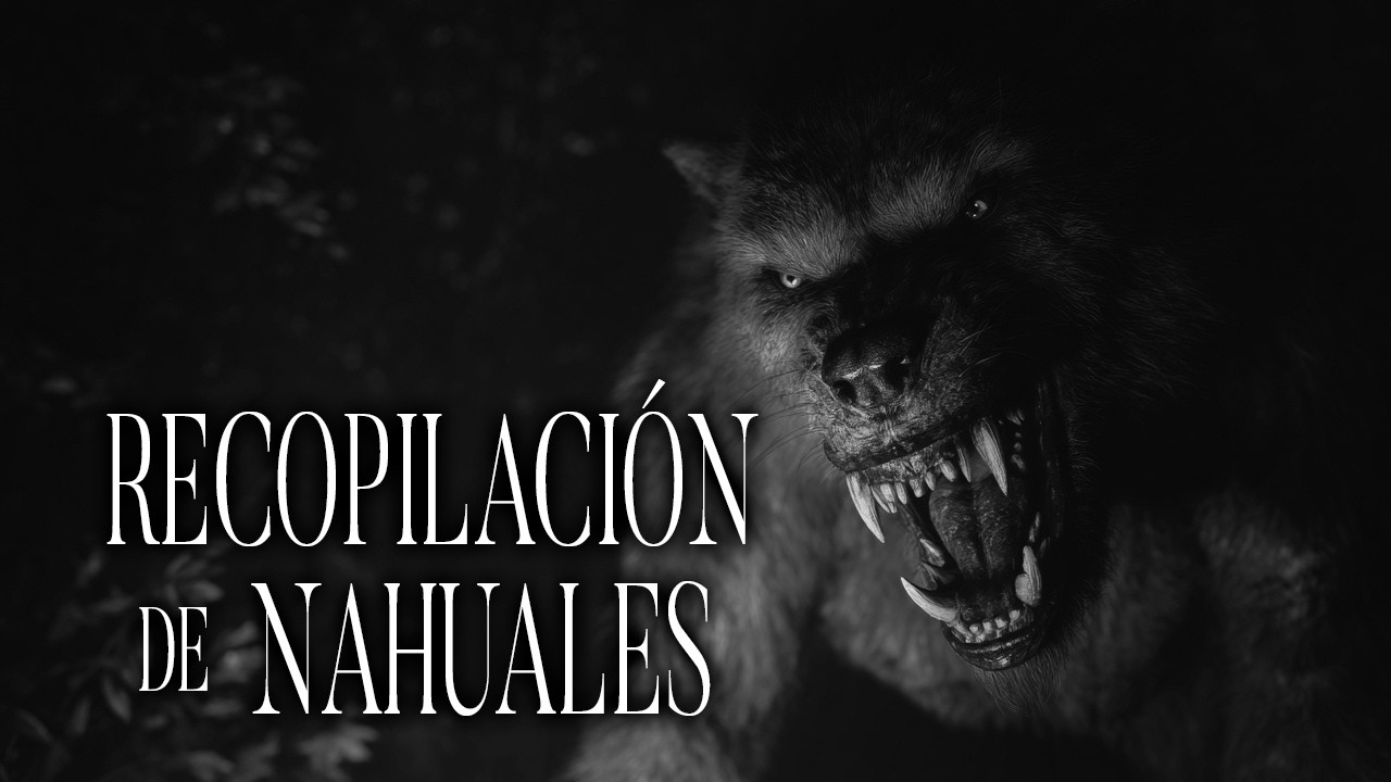 Pasos Para Ser Un Nahual Historias De Terror - REDE