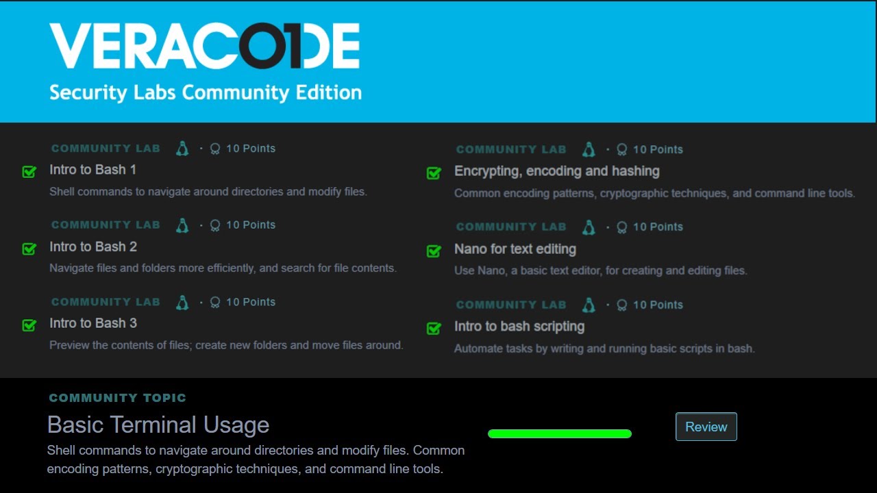 Базовое использование терминала — Veracode Security Labs Community Edition (бесплатно)