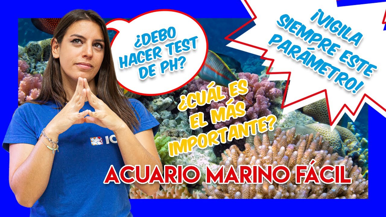 PARÁMETROS IDEALES para ACUARIOS MARINOS pt1 – pH, KH, Ca, Mg y salinidad