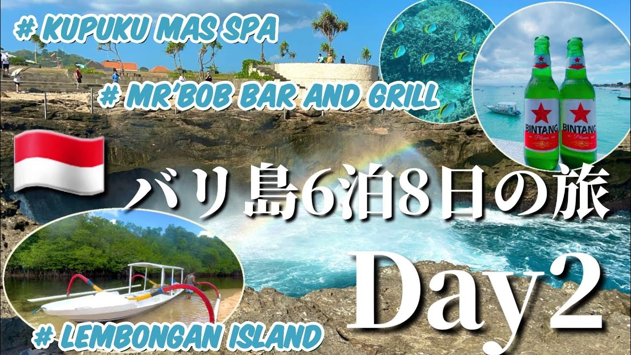 【バリ島6泊8日の旅🌴Day2】レンボンガン島1日ツアーに参加🏖️